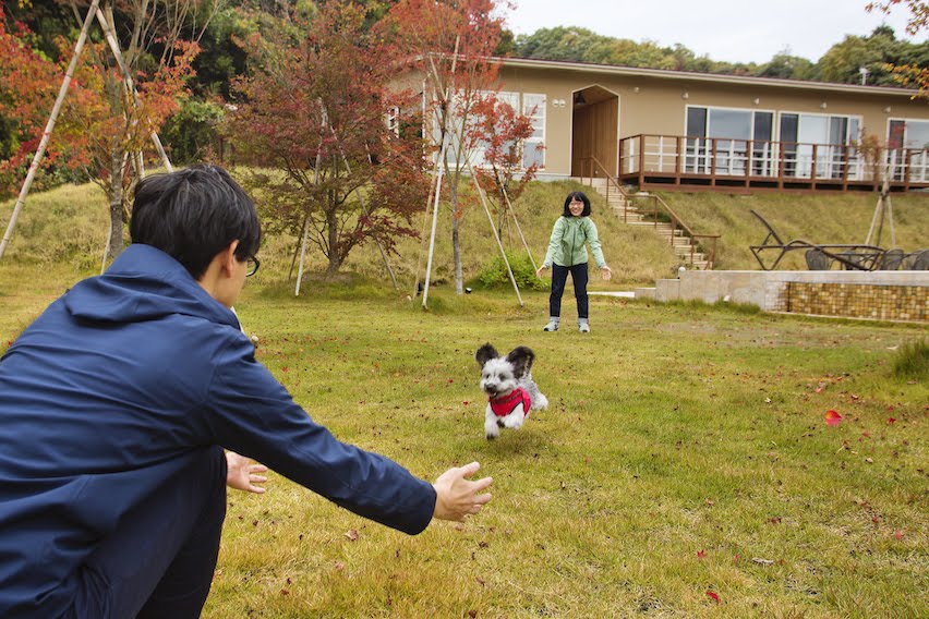 公式 愛犬 ペットと泊まれるグランピング施設 ドッググランピング京都天橋立